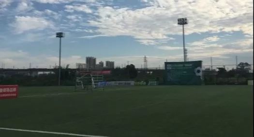 成都有几座专业足球场,成都有哪些免费足球场