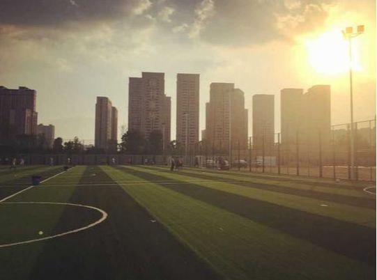 成都有几座专业足球场,成都有哪些免费足球场