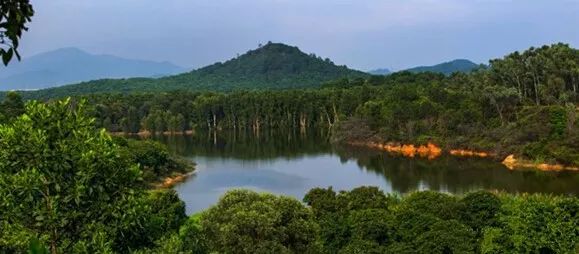 深圳豪宅区的演变,深圳五大豪宅区