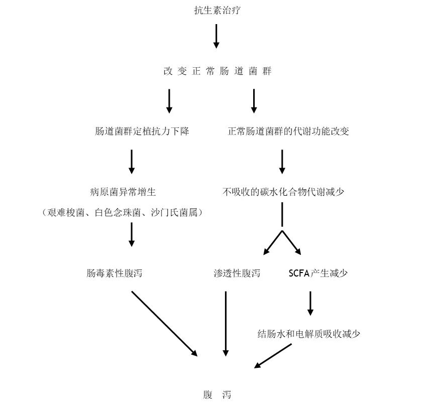 抗生素相关性腹泻,肠道菌群失调和肠炎的区别