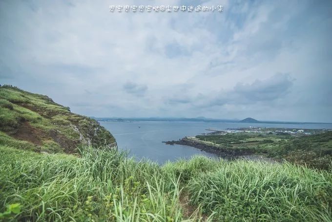 免签飞机票便宜的国家,免签机票便宜吗