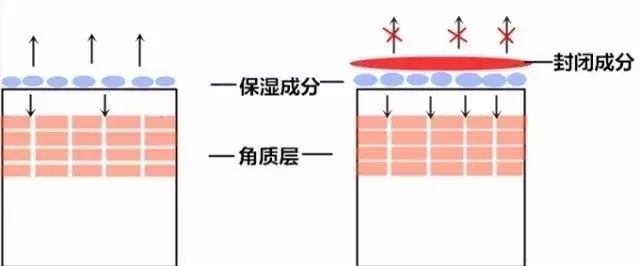 护肤八大误区之皮肤出油,护肤界的迷惑解密