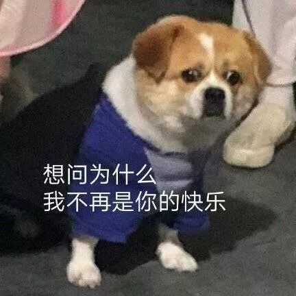 长了8年的痘痘要注意什么,长了好多年的痘痘怎么治好