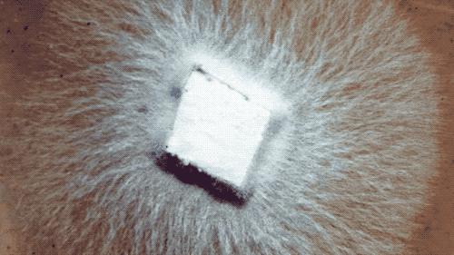 什么袜子专治脚臭,什么袜子治臭脚