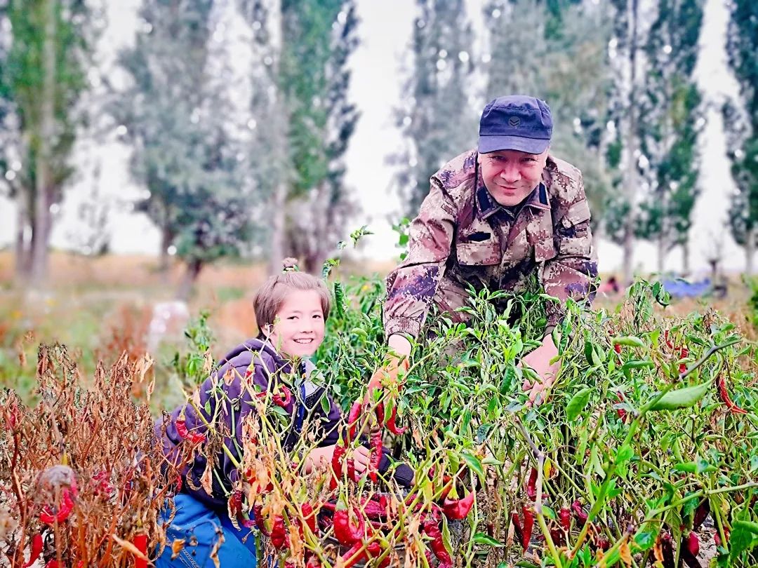 【检察官驻村】英买里村的辣椒红了
