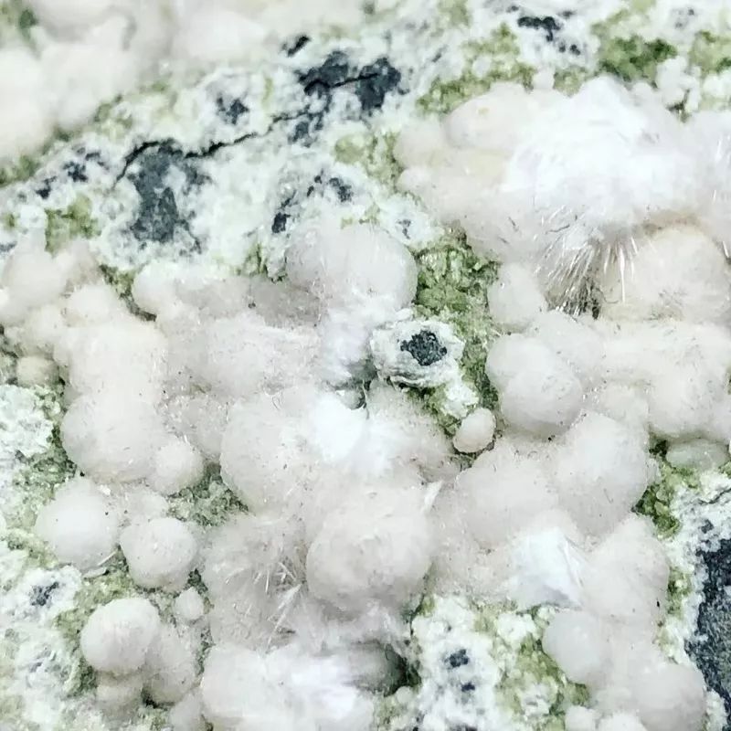 谁还不是个小可爱文案,谁小时候还不是个小可爱