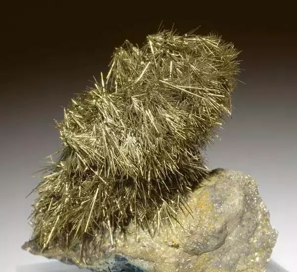 谁还不是个小可爱文案,谁小时候还不是个小可爱