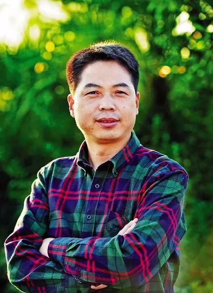 杨小琪书法,杨小琪书法作品在陕西排多少名