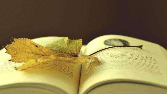 西班牙汉学家感谢中国,西班牙汉学家的中国文化