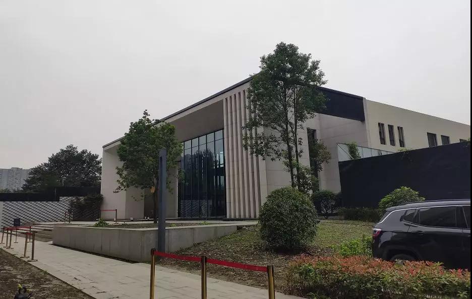 金沙最近怎么样了,金沙是什么来头