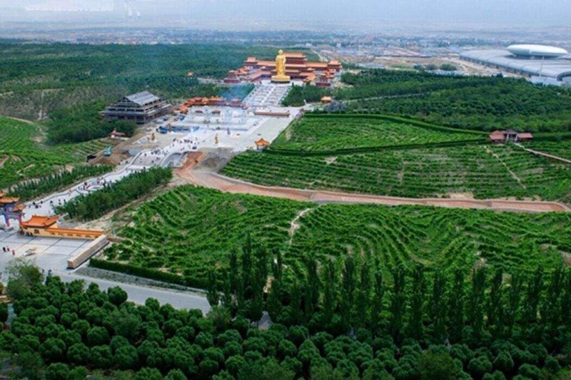 会展万科区丨擎动会展时代样本