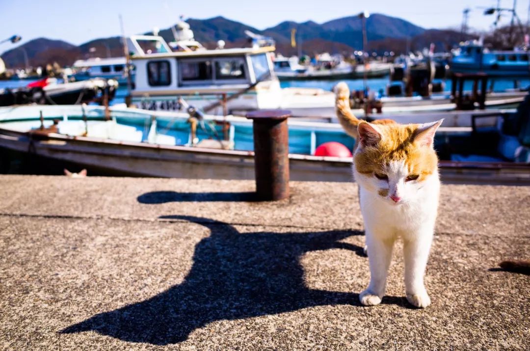 泡全球仅一家的珍珠温泉，上小众景美的雪场滑雪，99%游客都不知道的日本玩法