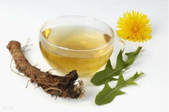 蒲公英泡水喝对人身体的几大好处,蒲公英泡水喝对身体有哪些作用