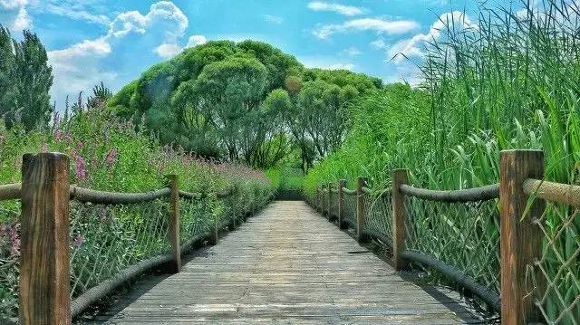 天津赏红叶的公园,天津赏红叶好去处