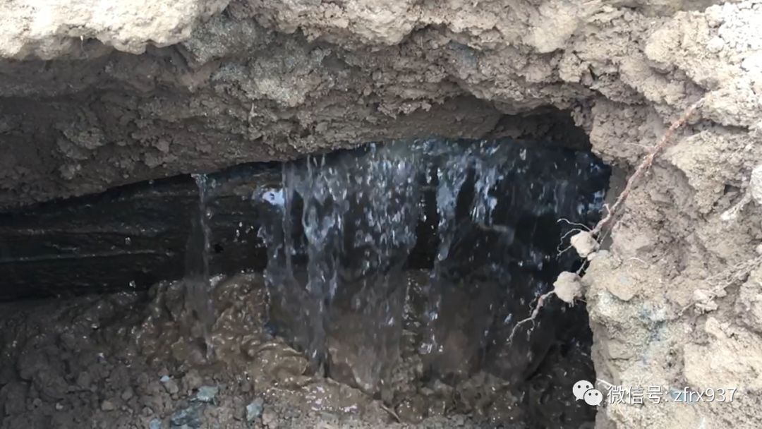 b类屠宰场需要关闭吗,屠宰场不规范有什么处罚