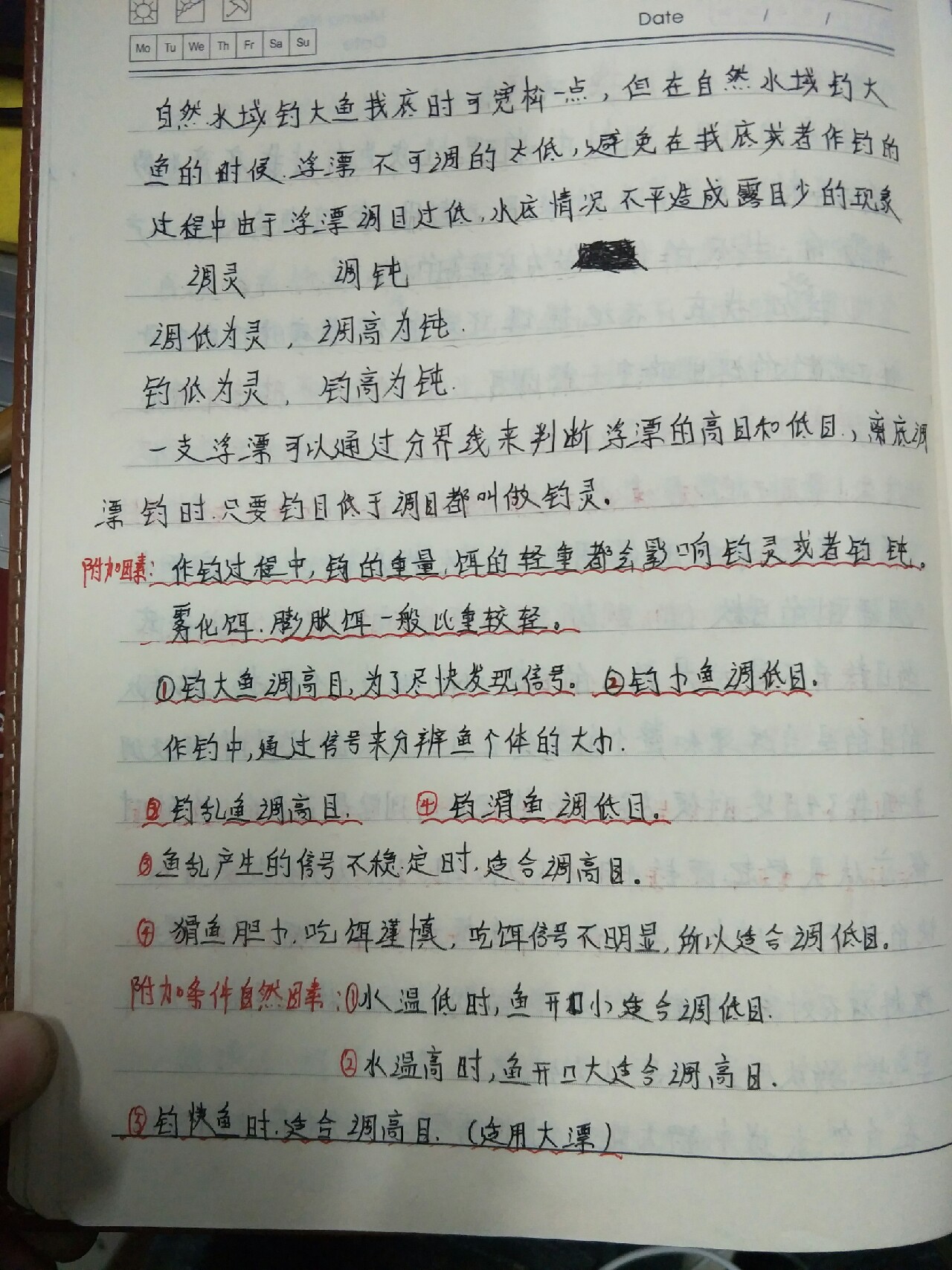 自从找寻到为爱钓鱼的你以后……
