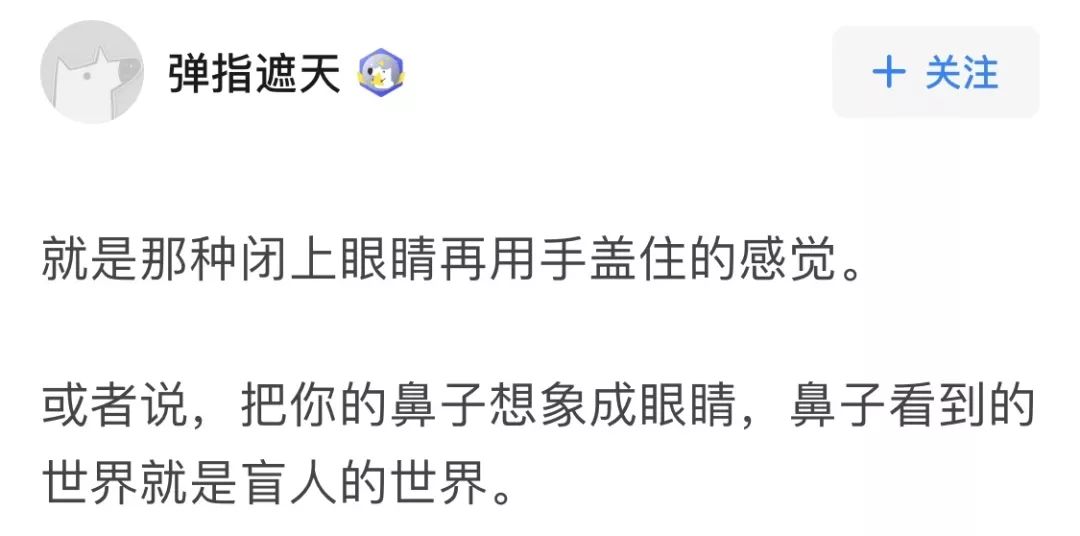 国际盲人节：假如让我三天失明