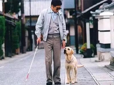 国际盲人节：假如让我三天失明