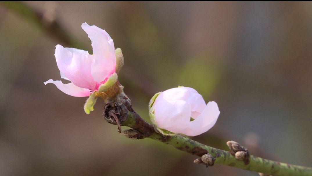 都是天气惹的祸大结局,都是天气变冷惹的祸