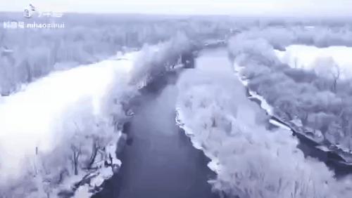 一个真实的黑龙江该是什么样,一个真实的故事黑龙江