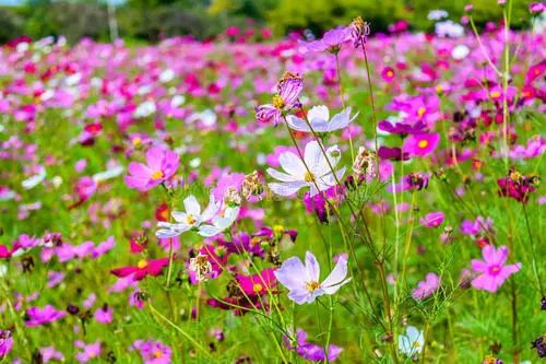 黄石周边一日游网红打卡地,黄石市爬山散步