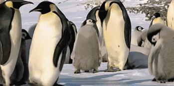 这双运动鞋竟然防水！暴雨大雪都不湿，还巨暖和