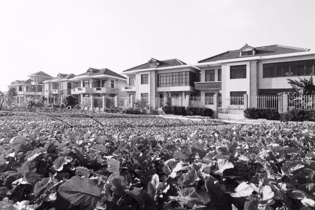 上海虹桥中心有什么美景,上海有个地方叫什么港