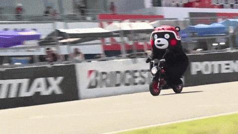 双11旅游爆款清单,适合旅行的双11