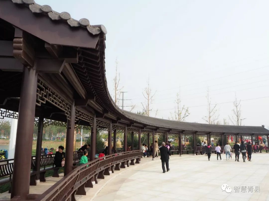 青县集会,2019沧州旅发大会