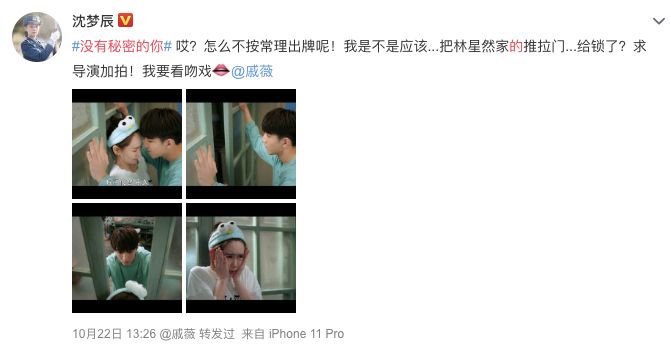 中二女律师爱上小狼狗，年下恋CP*党**高甜出击