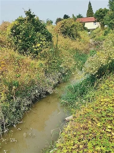 淡水水产生态养殖新模式有哪些,淡水养殖产业链分析