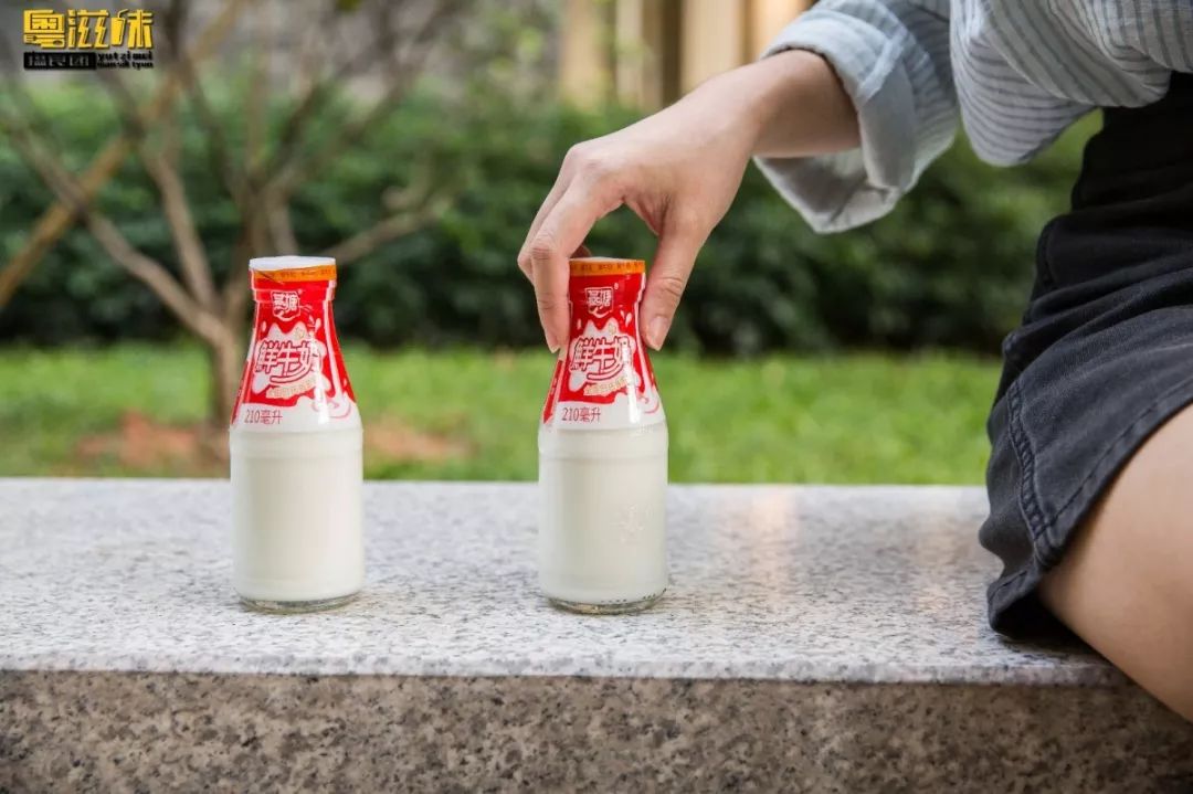 抢占“鲜”机!这个广东人爱了63年的燕塘牛奶,终于要登陆澳门了