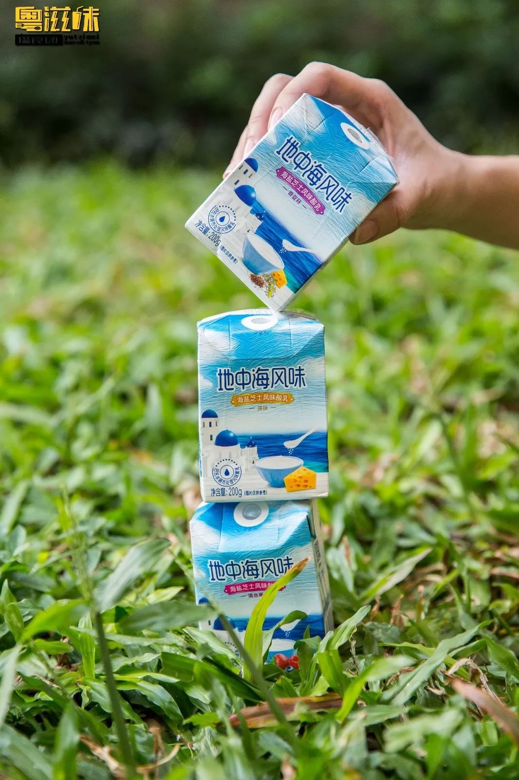 抢占“鲜”机!这个广东人爱了63年的燕塘牛奶,终于要登陆澳门了