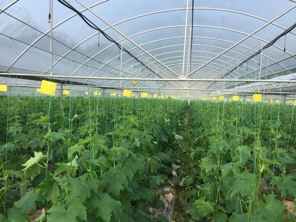 重庆乡村振兴大赛,重庆乡村振兴创业大赛