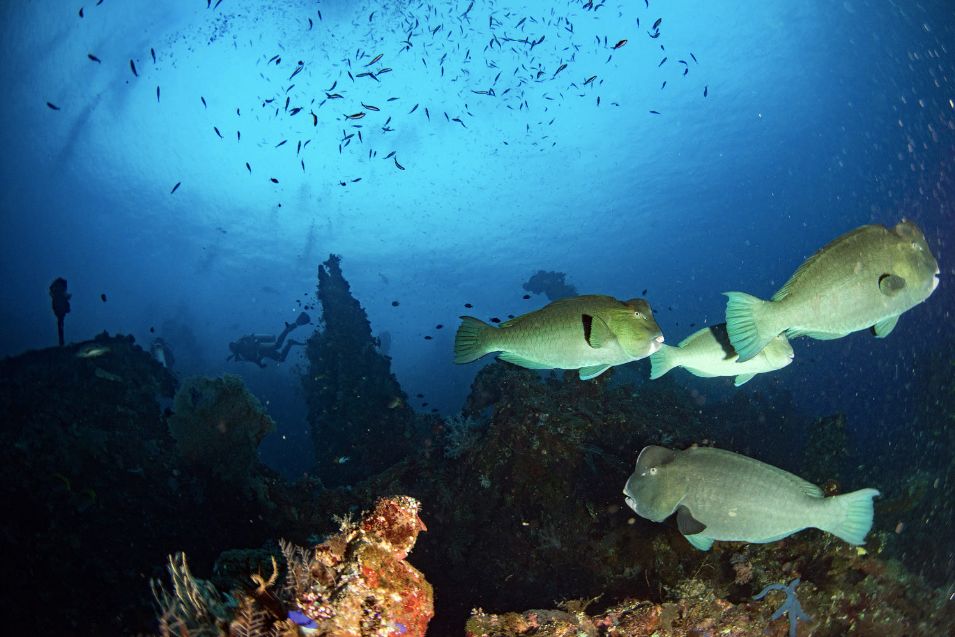 秒杀马代的绝美海岛,海南媲美马代的海岛