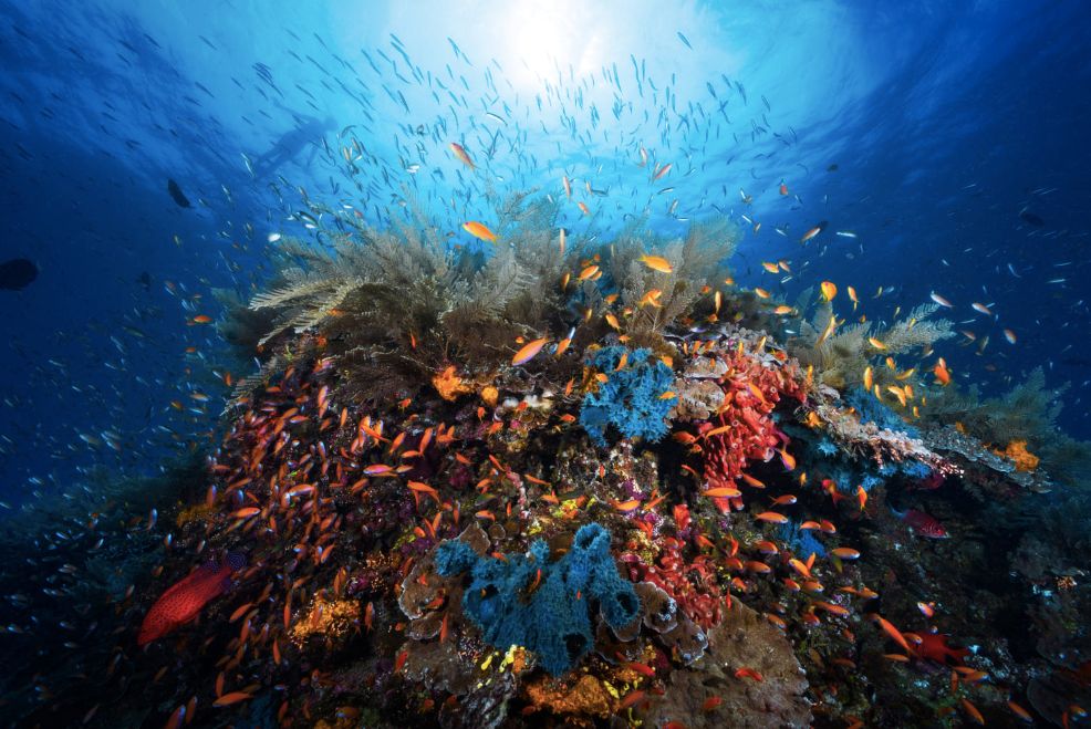 秒杀马代的绝美海岛,海南媲美马代的海岛