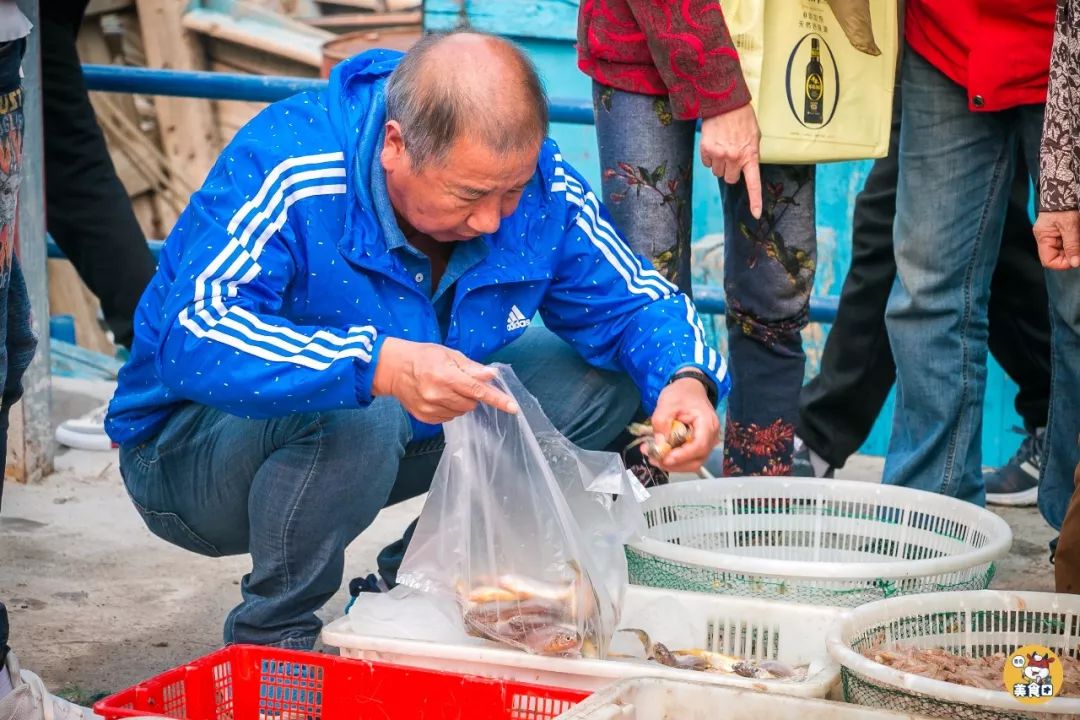 小港码头有蛏子吗,小港码头吃海鲜俱乐部电话