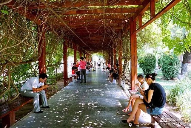 正定湿地公园骑行,骑行正定古城墙感受