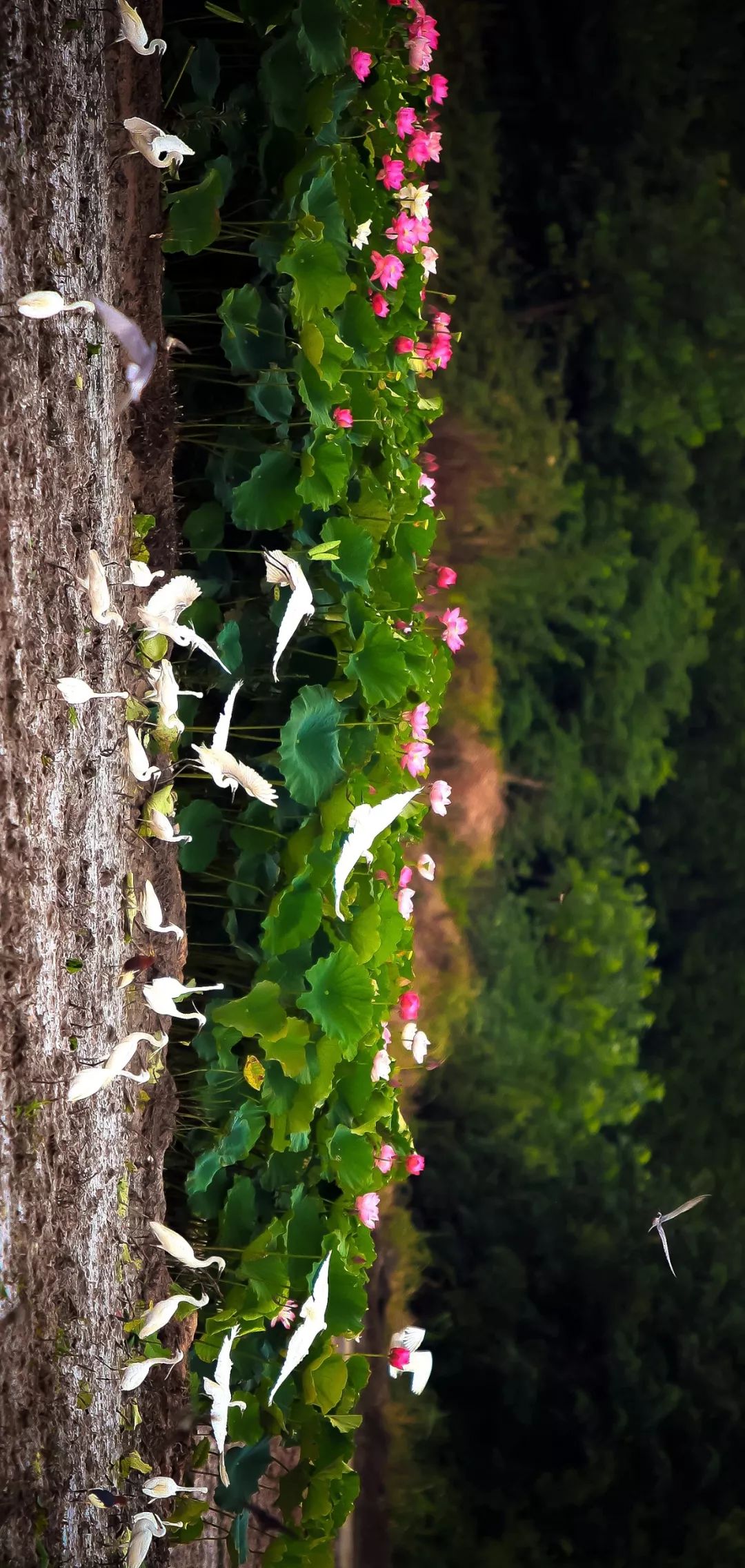 三国的赤壁,三国赤壁视频