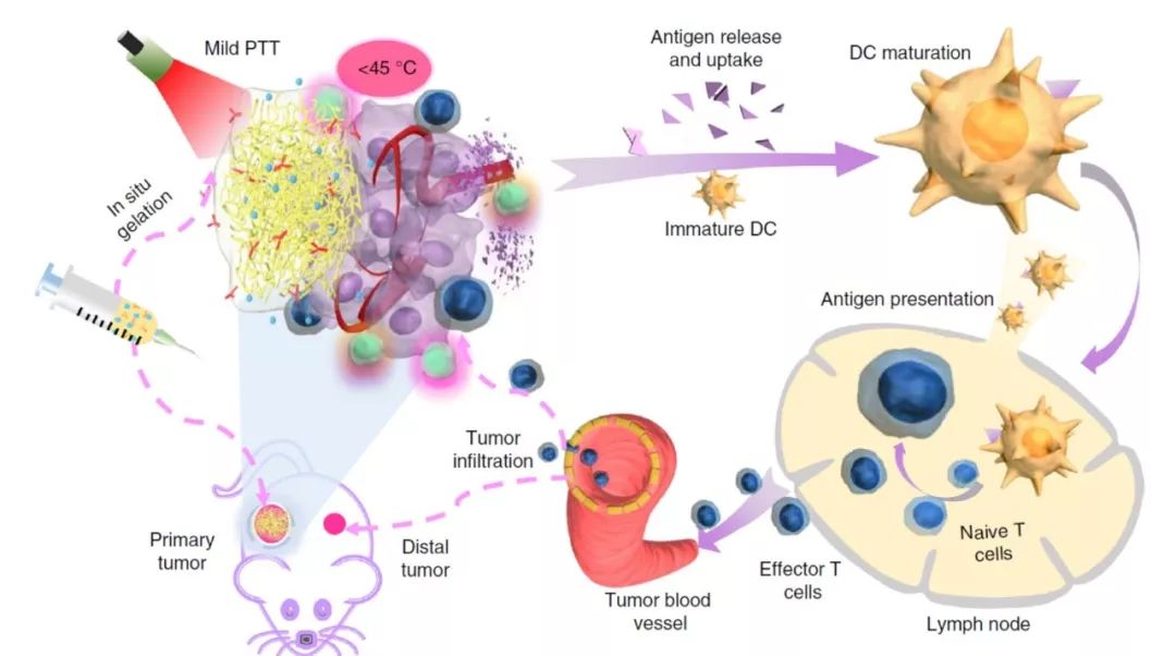 如何把冷肿瘤变成热肿瘤,肿瘤热疗新趋势热死肿瘤不伤身