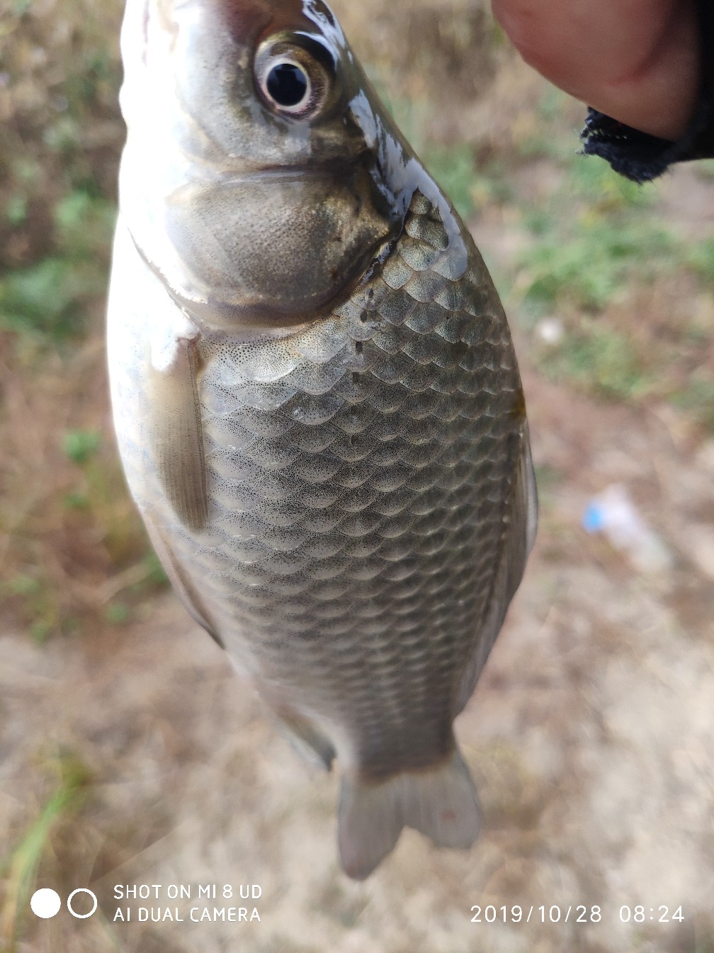 和钓友吃吃喝喝好不好,野钓与钓友
