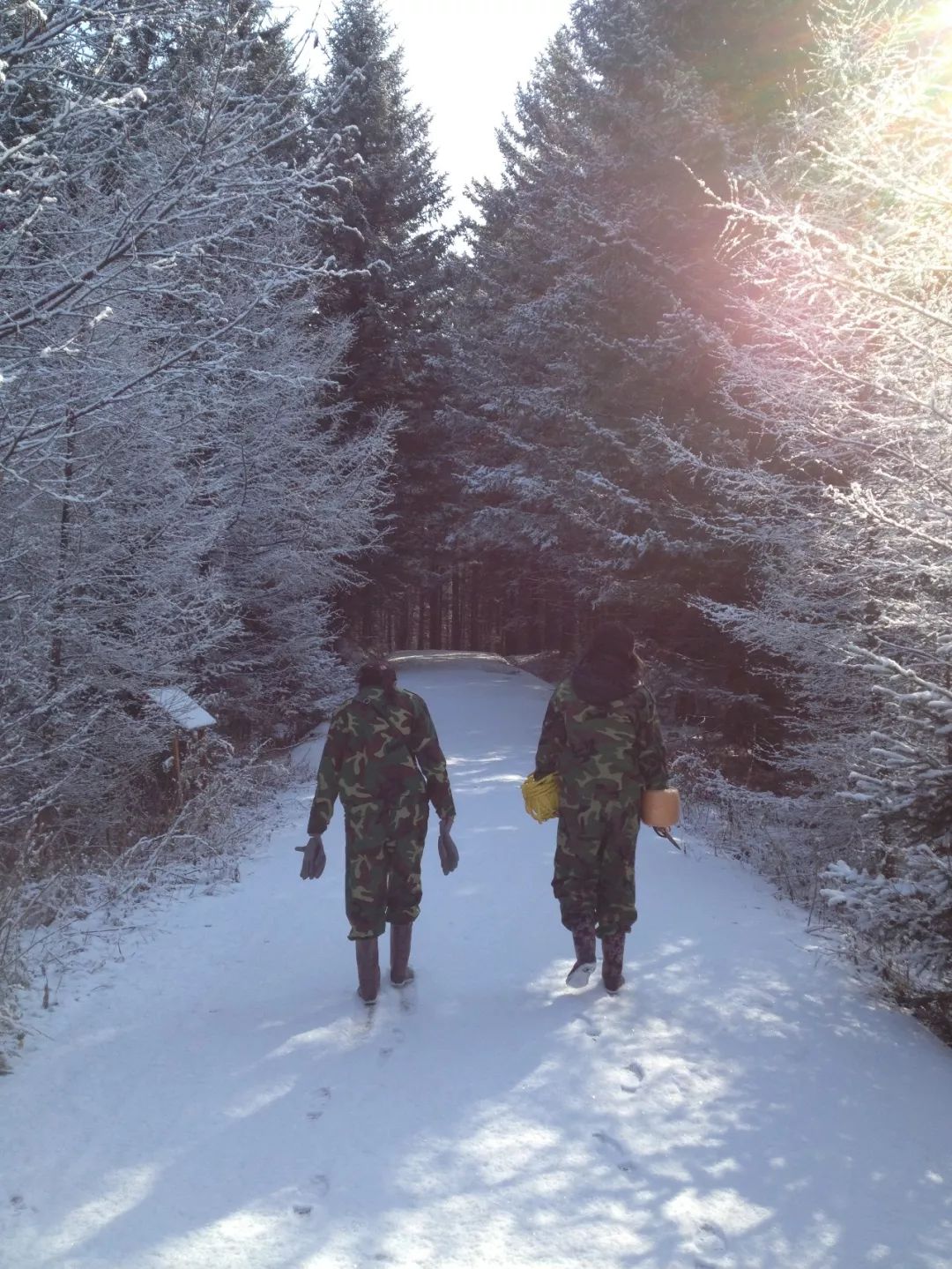 我的野保坑是这样填出来的：打豆豆，就酱