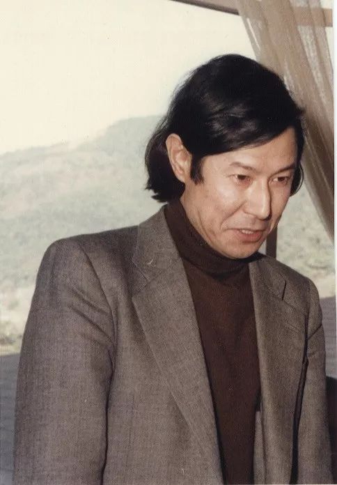 日本现代技术的发展历程,现代数学发展史简介