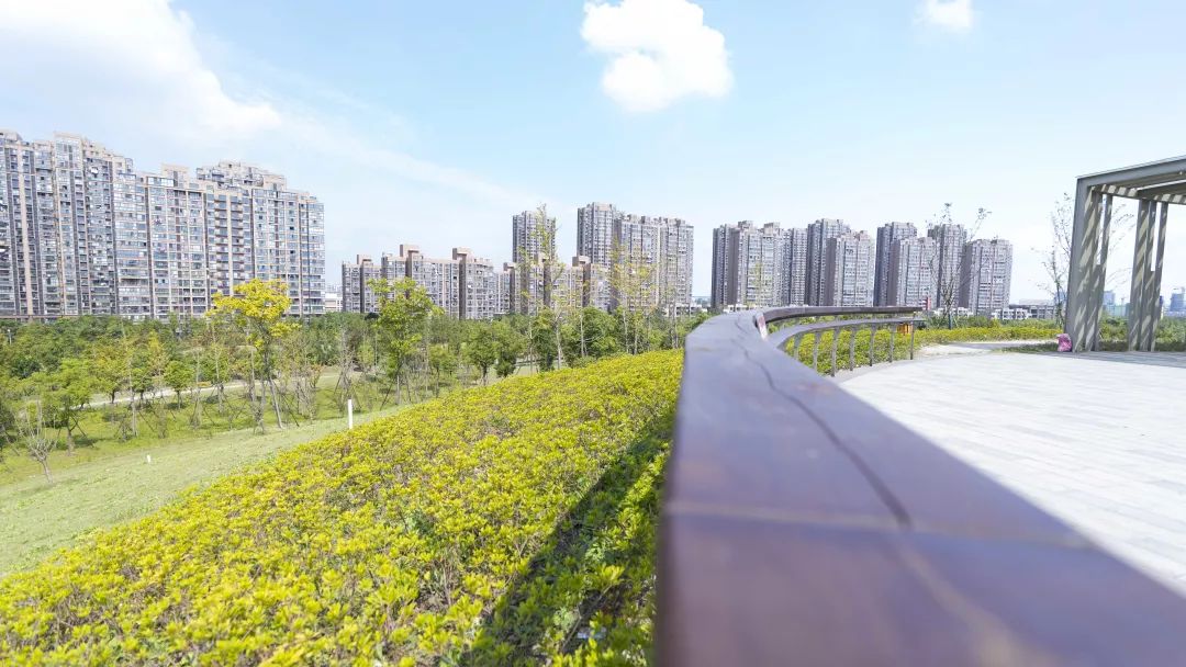 白沙公园开园没有,白沙公园开园