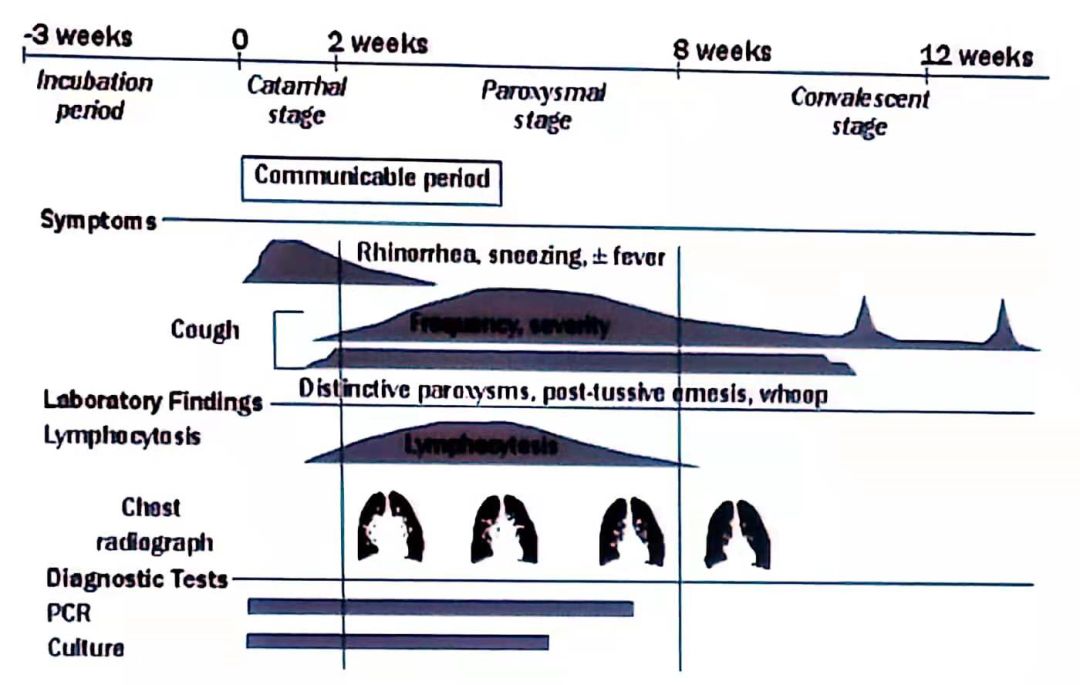 风寒感冒后咳嗽一直不好什么原因,孩子咳嗽老不好是肺热吗