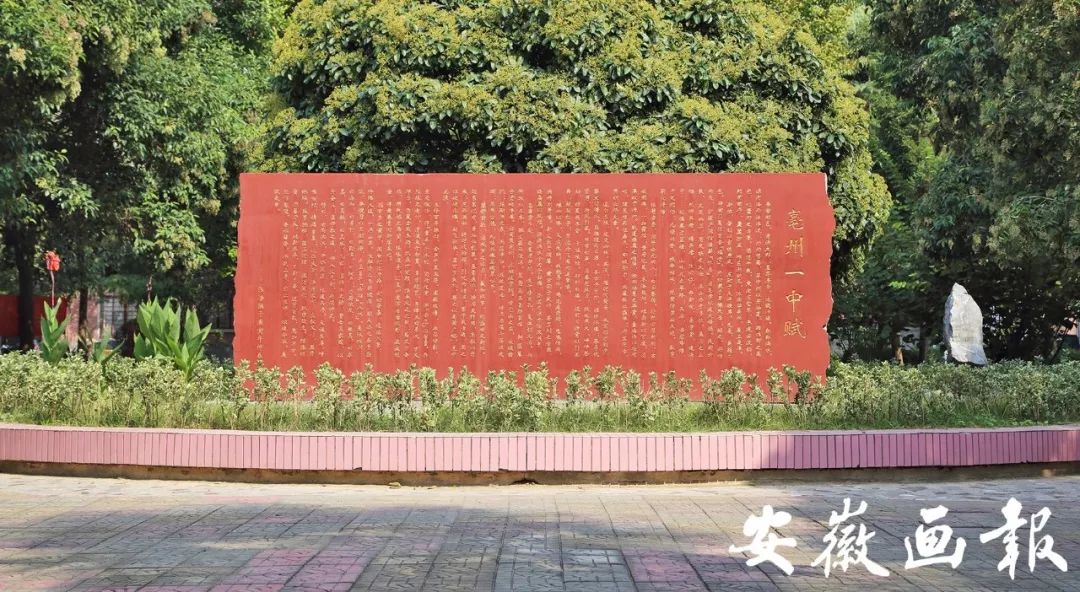 亳州市第一中学办学特色,名校之光