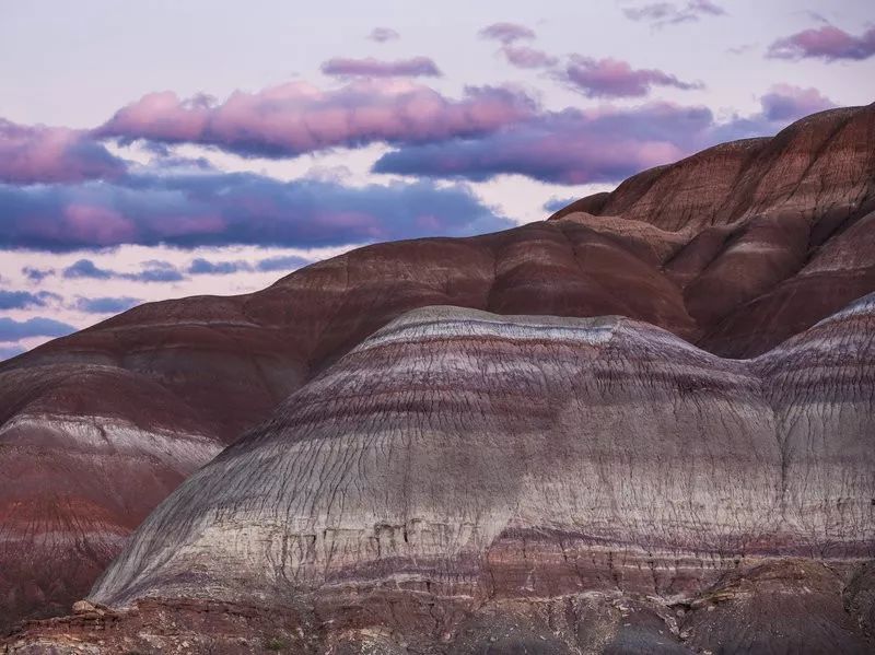 人类的世界就是一场悲剧,人类终究只是个笑话吗