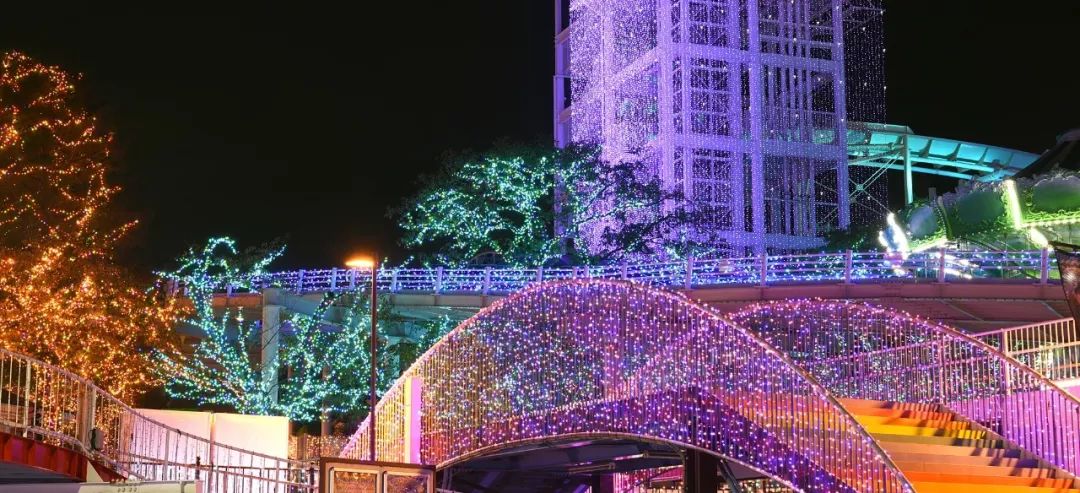 日本京都二条城灯光秀 (日本圣诞节灯光秀攻略)