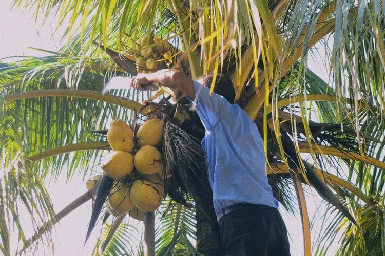 秋冬超级爆款面霜医用,秋冬面霜保湿滋润成人用推荐国货