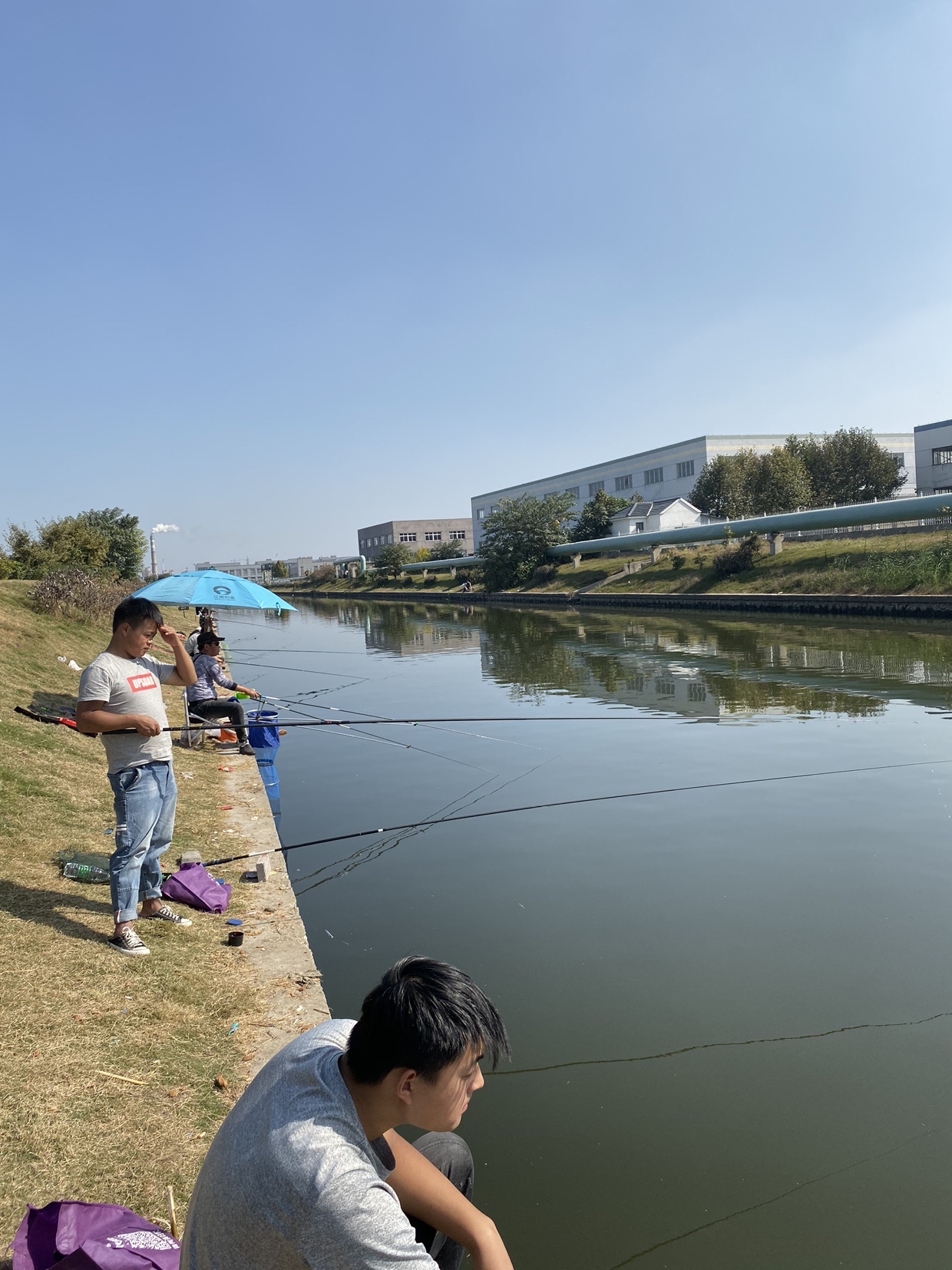 窝里鱼有泡但不开口怎么办,窝里有鱼没口什么原因